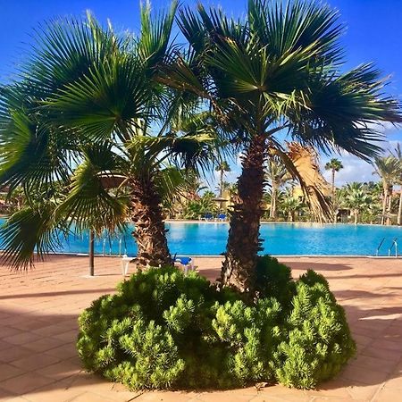 Fuerteventura Apartments Коралео Екстериор снимка