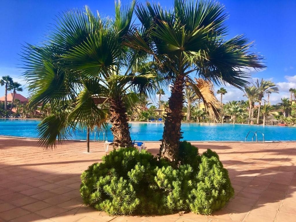 Fuerteventura Apartments Коралео Екстериор снимка